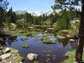 Erste kleine T&uuml;mpel